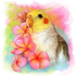 Avatar de Birbapapuga