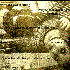Avatar di Dead Hooker Scenario