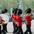 Avatar de Regimental Band Of The Coldstream Guards