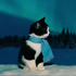 Avatar for vvarkkbbtww