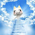 Avatar for s4ilorv