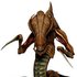 Anal Zerg 的头像