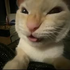 Avatar for Jensht365