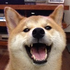 TerminX13 さんのアバター