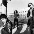 Concrete Blonde のアバター