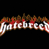 Аватар для -Hatebreed-
