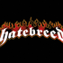 -Hatebreed- için avatar