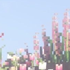 c0ff3ebeans 的头像