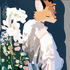 Avatar for samthebird