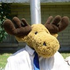 Moose_Flunky için avatar