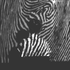 Avatar di outrosasa