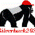 silverback2032 için avatar