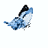 Avatar for futurolvidado
