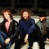 Avatar for Bee Gees