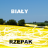 Avatar for Bialy_rzepak