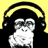 Avatar for Alppimies