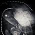 Avatar de VivaHate1