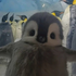 Avatar for SuperAvian