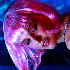 Avatar for sickluver