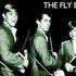 Аватар для The Fly Bi Nights