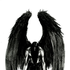 XenoAngel için avatar