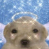 Avatar for linss28