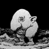 Avatar for nesuferatu