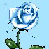 Avatar for venerife