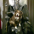 Avatar for xandermrk