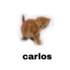 Avatar for GustavinPlays