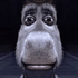 Avatar for verskre