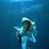 iamamiwhoami のアバター