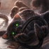 Avatar for sholja