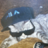 Avatar for broekpoep