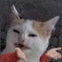 Avatar for SaddamHussien