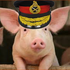 GeneralBacon1 için avatar