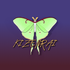 Avatar for Kizenrai