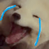 Avatar de jazzymonday
