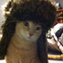 Avatar for anti-ruchi