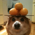 Avatar for Macsiii