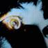 Avatar for PopBob1738