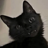 Avatar for Tollu0905