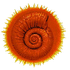 Avatar di deltafiore