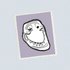 Avatar de mMega