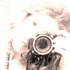 Avatar di liliz_