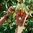 Avatar for wonderwhybabe