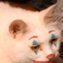 Avatar for carlosgm1078
