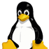 Avatar for linux_author