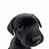 Avatar for mrsspotter