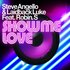 Avatar for Steve Angello & Laidback Luke Ft Robin S